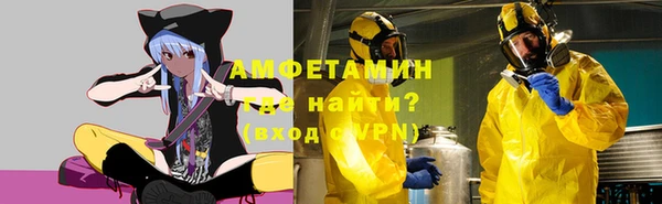 стафф Новодвинск