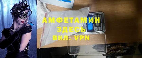 дмт Новозыбков