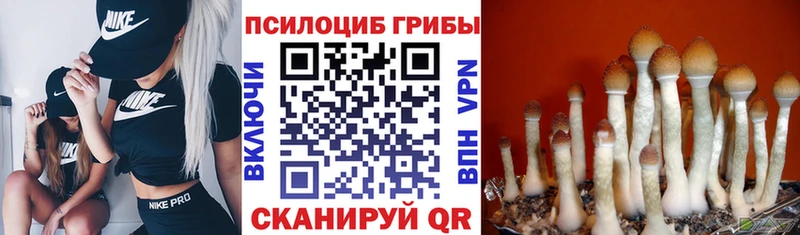 hydra ТОР  Мурино  Галлюциногенные грибы ЛСД 